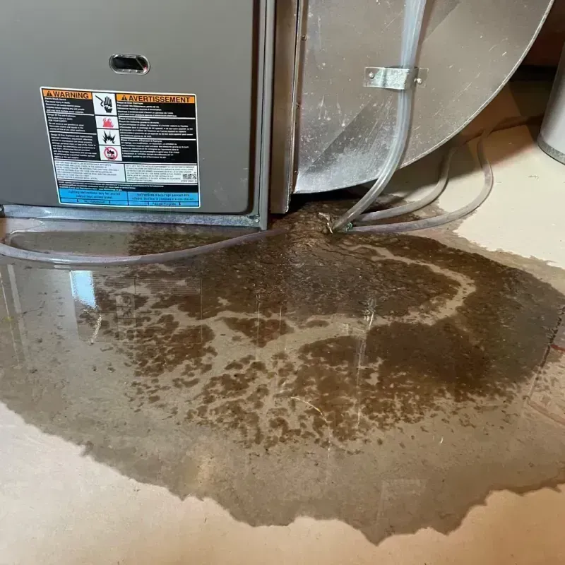 Appliance Leak Cleanup in Jerseyville, IL